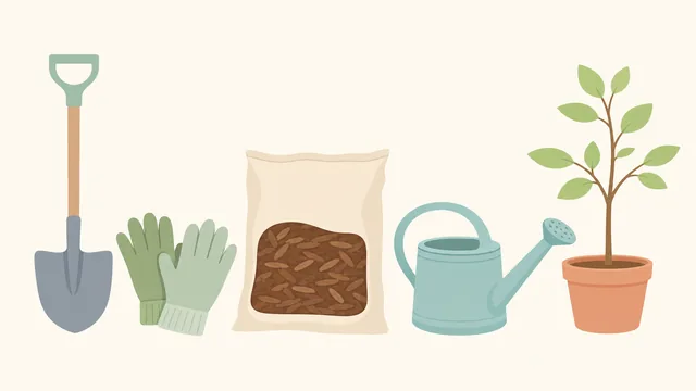 Tree, shovel, mulch, gloves, and hose ready beside a planting site